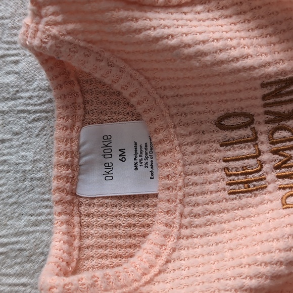 Twin Girl Bundle Two Sets Of Hello Pumpkin Fall Outfits, 6-9 Months - Picture 2 of 4